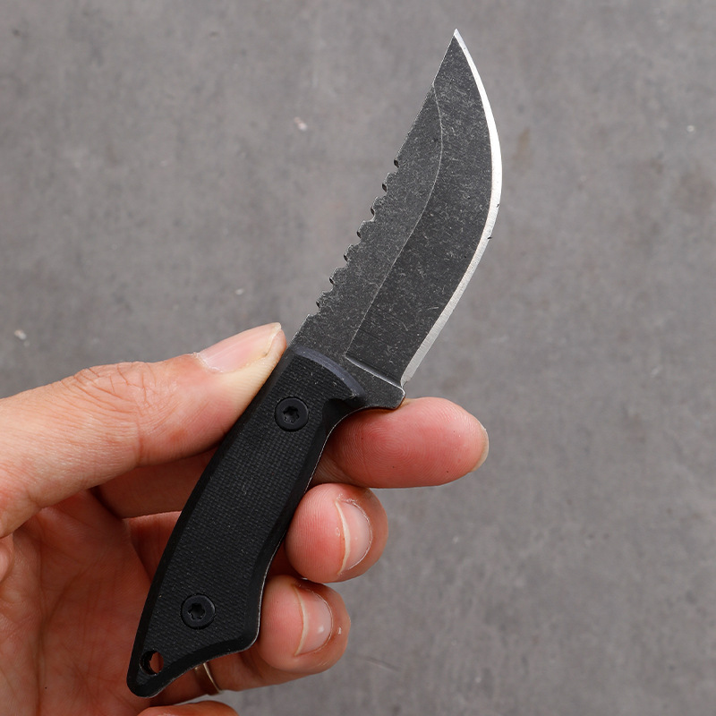 5CR15 Stainless Steel Small Fi - đánh giá và giá Edc Carry Fixed Blade